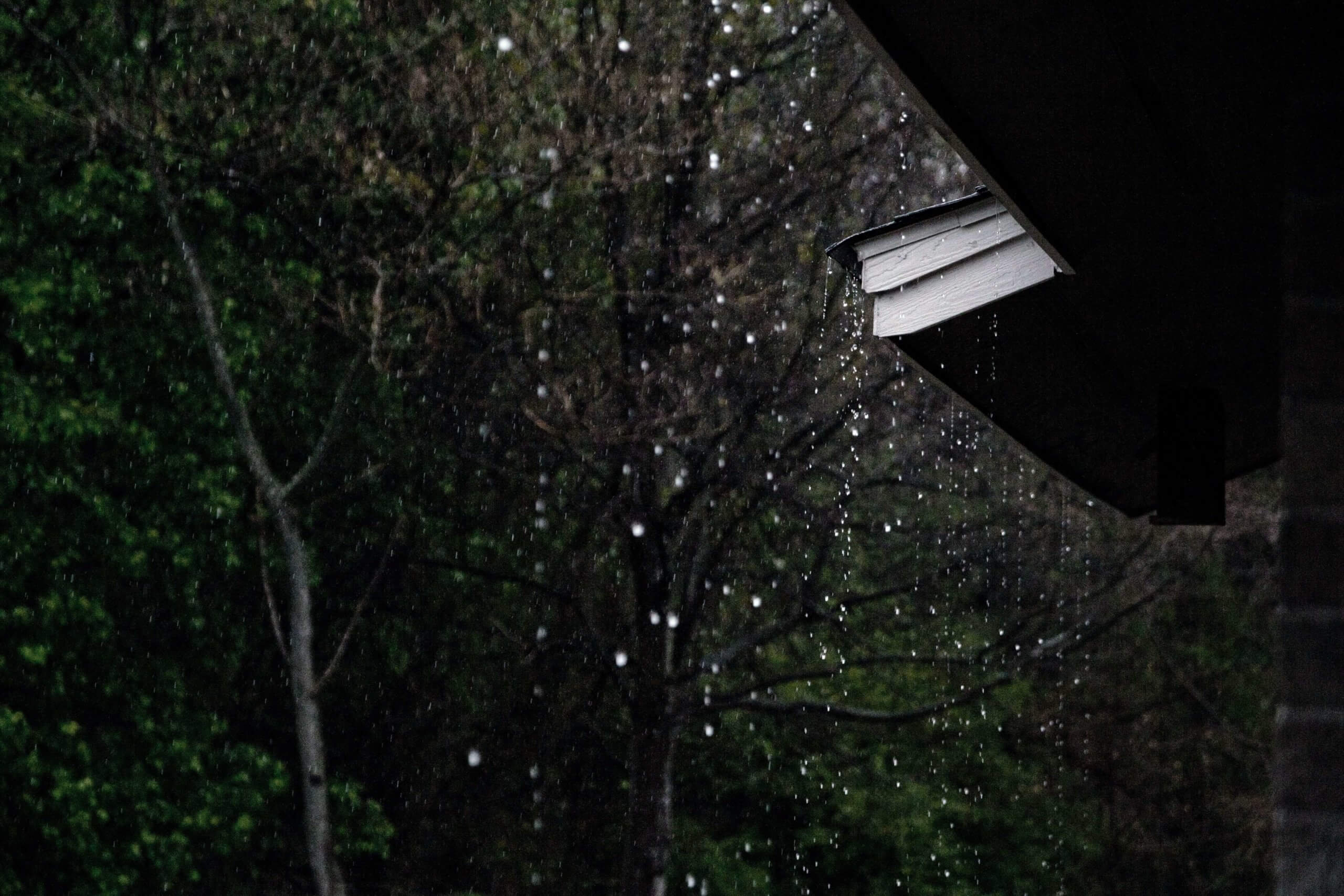 Rainwater drips from the corner of a roof against a backdrop of lush green trees and dark branches, suggesting a gloomy, rainy day. Amidst the falling rain, its crucial to ensure generator operation adheres to weather safety protocols for uninterrupted power and peace of mind.