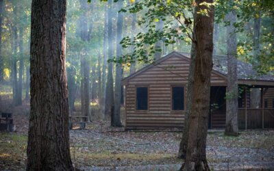 Generators for Off-Grid Living: Planning for Year-Round Reliability