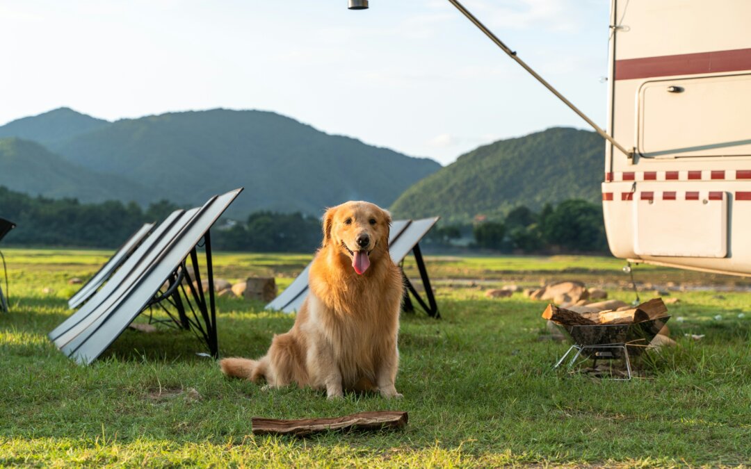 Spring Into Power: Preparing Your Generator for Changing Seasons